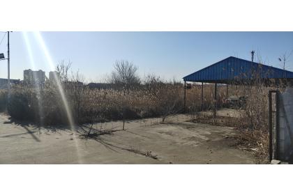 东辰控股集团有限公司066号、067号两宗土地使用权